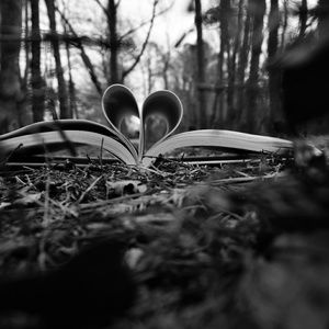 Meet your Posher, Kristina